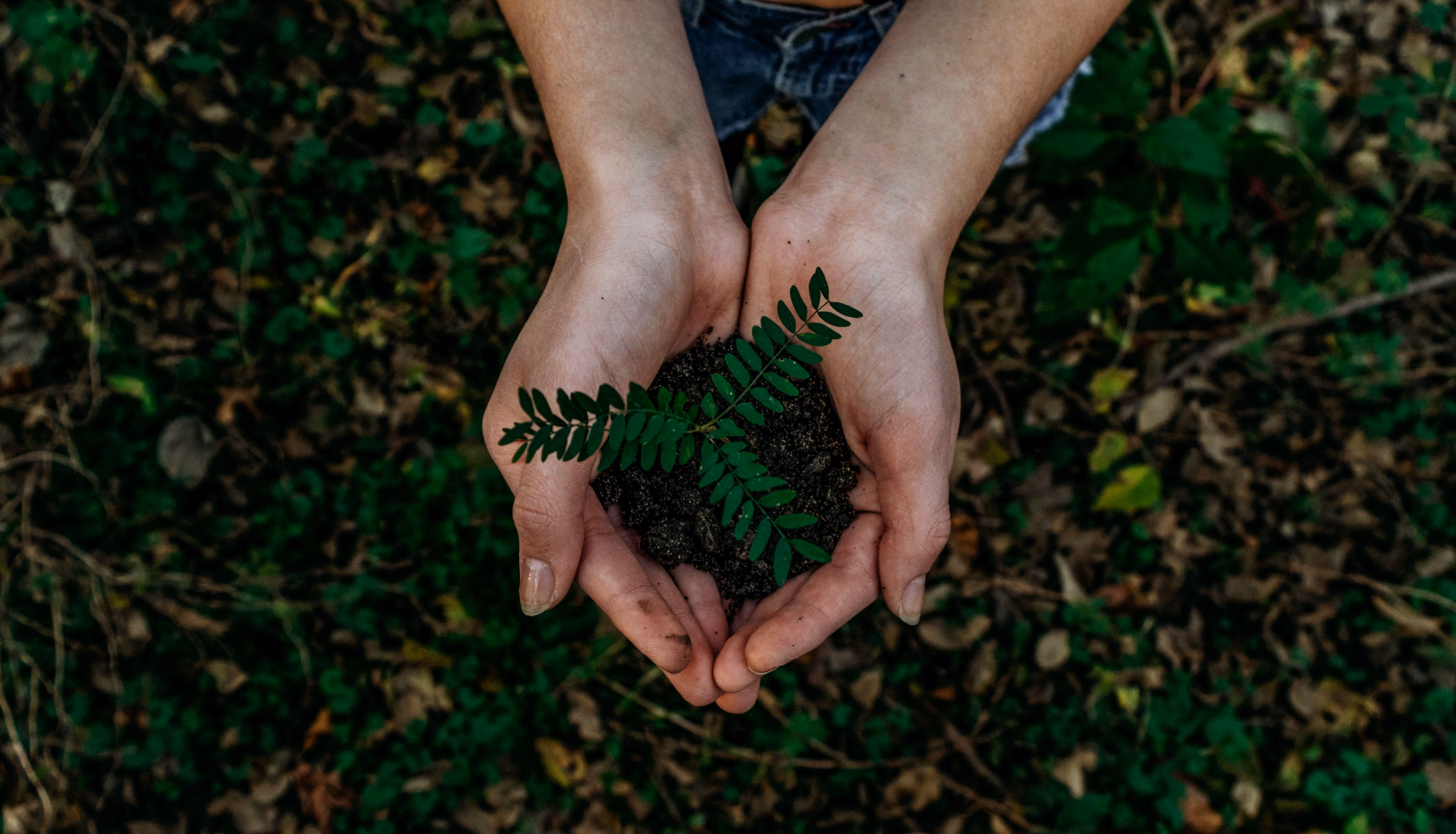 Growth